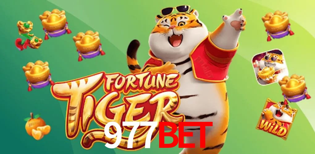 Experiência VIP 977bet